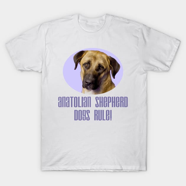 Anatolian Shepherd Dogs Rule! T-Shirt by Naves